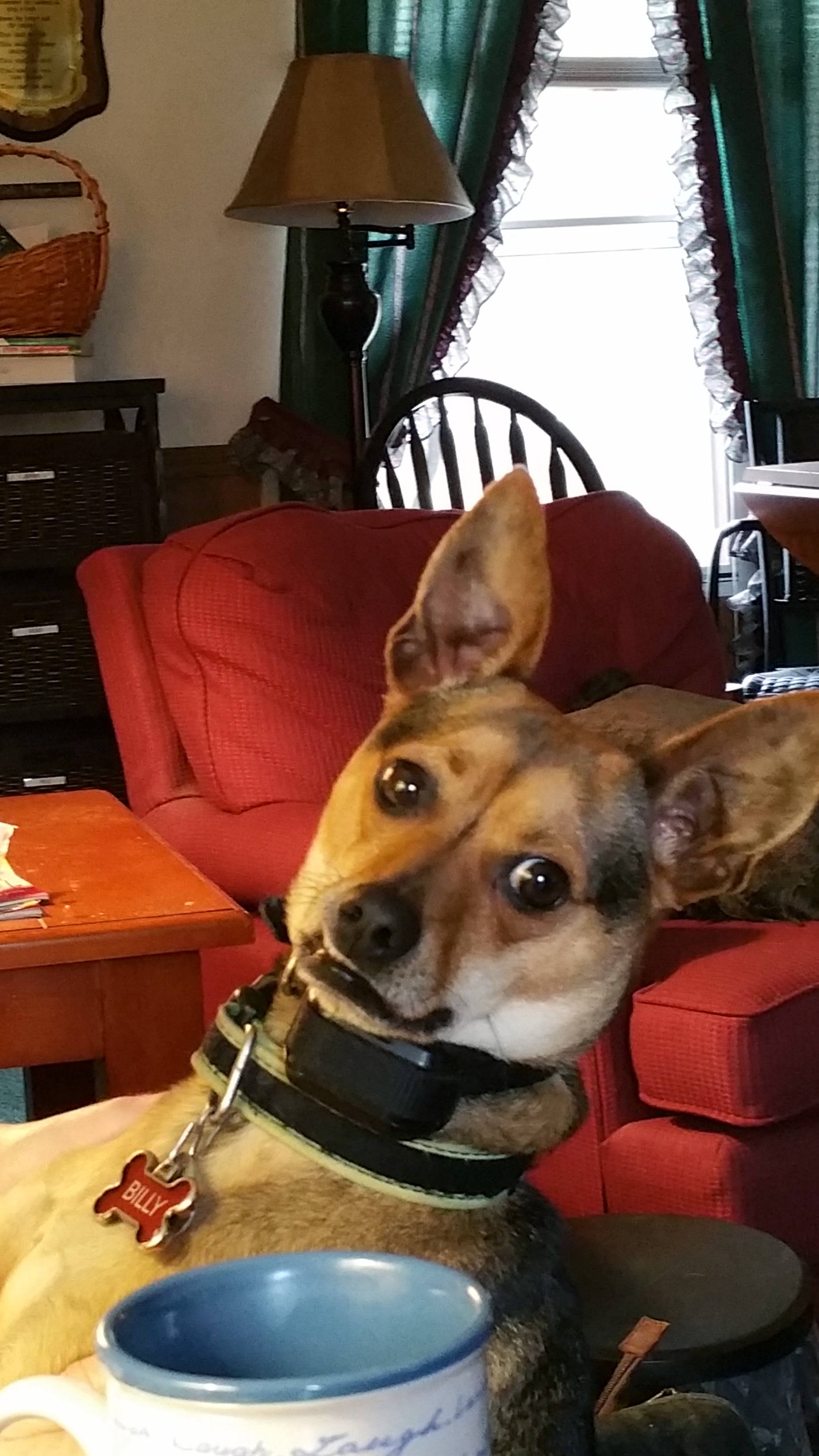 Photo from March 14 2015