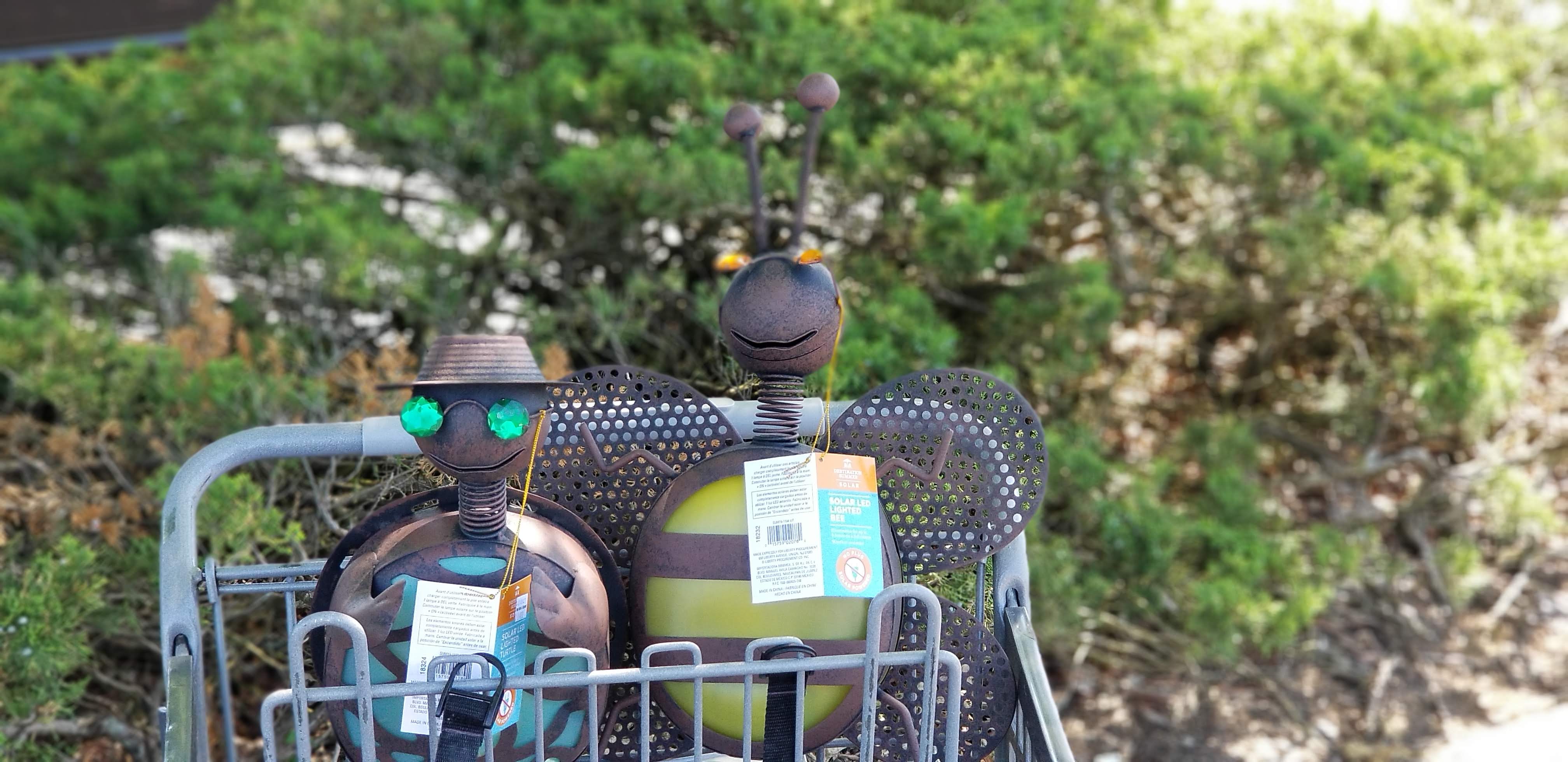 Photo from April 27 2019 daytime