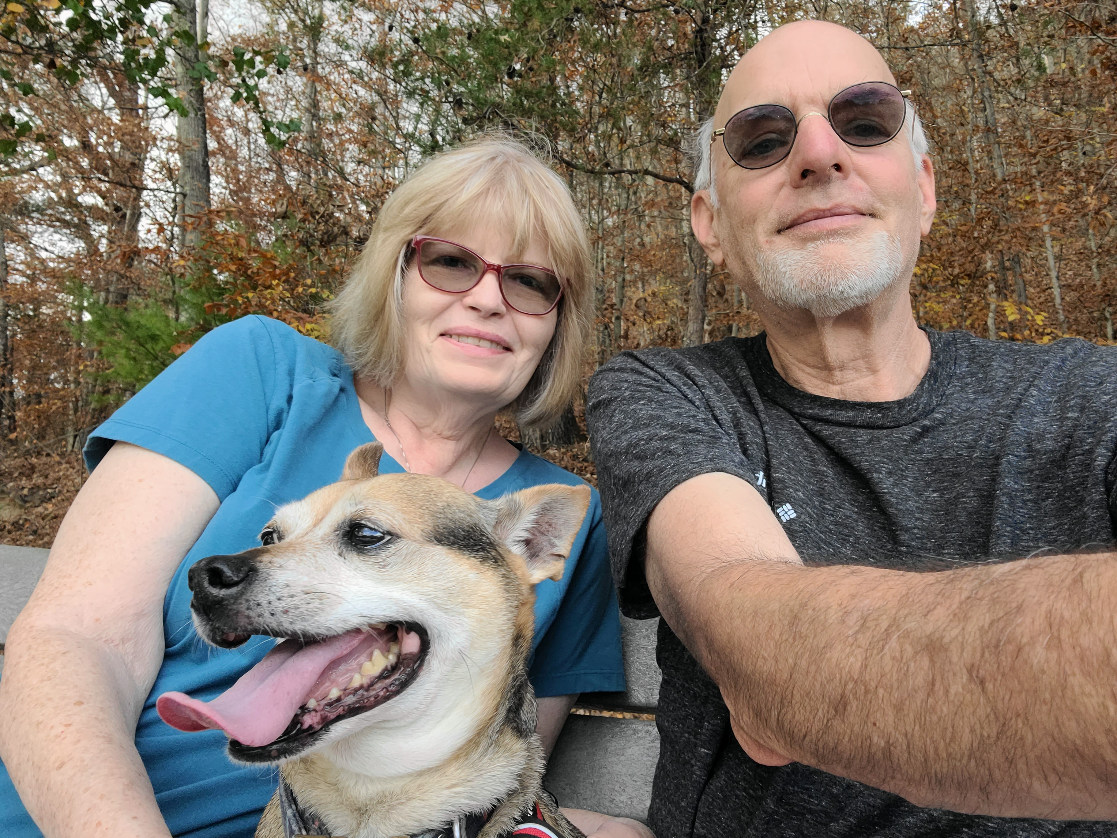 Photo from November 7 2024