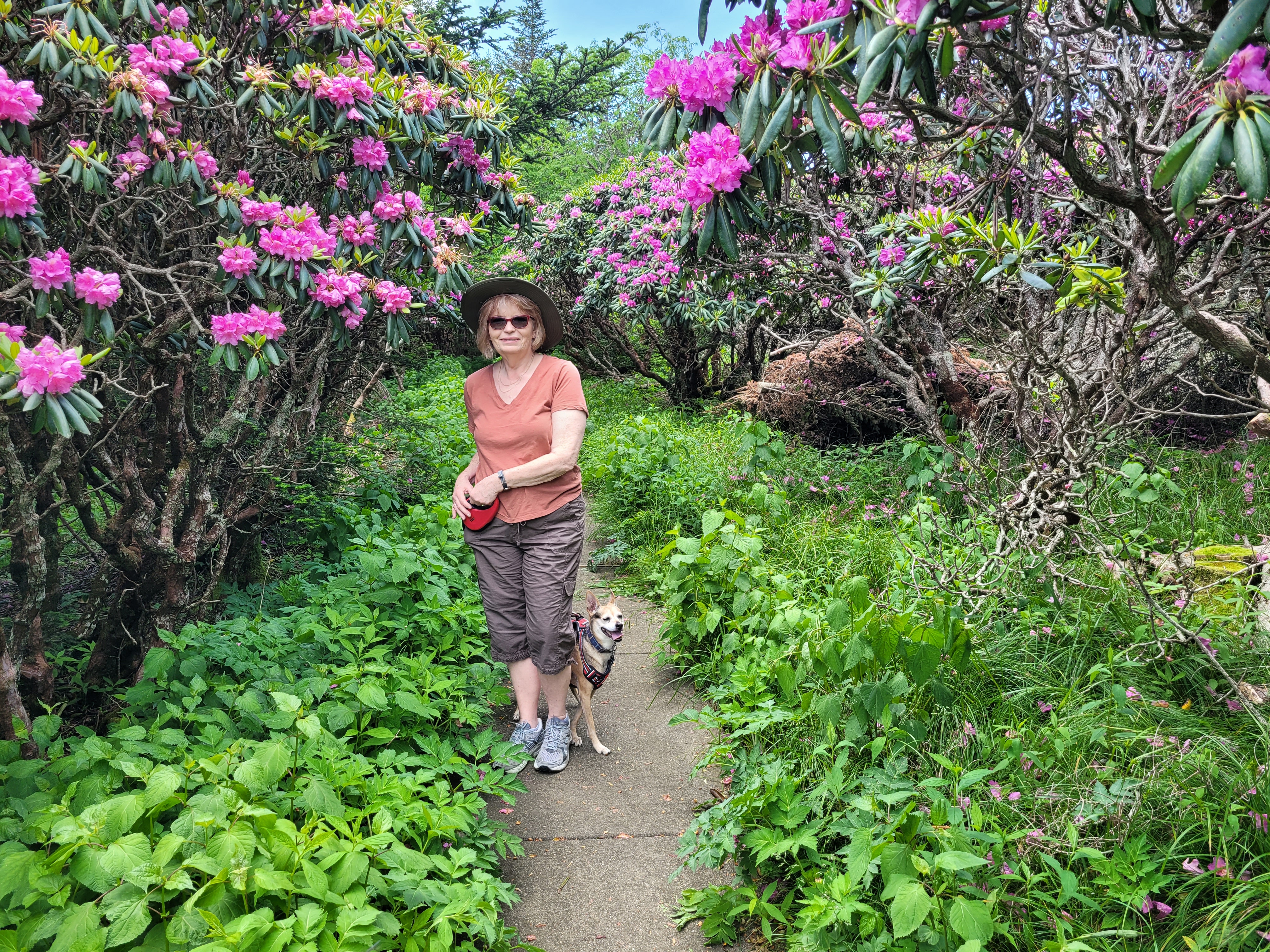 Photo from June 20 2025 first